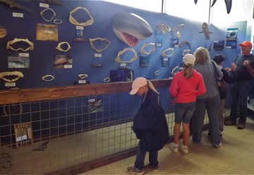 Photo of Whale, Sea Life and Sharks Museum