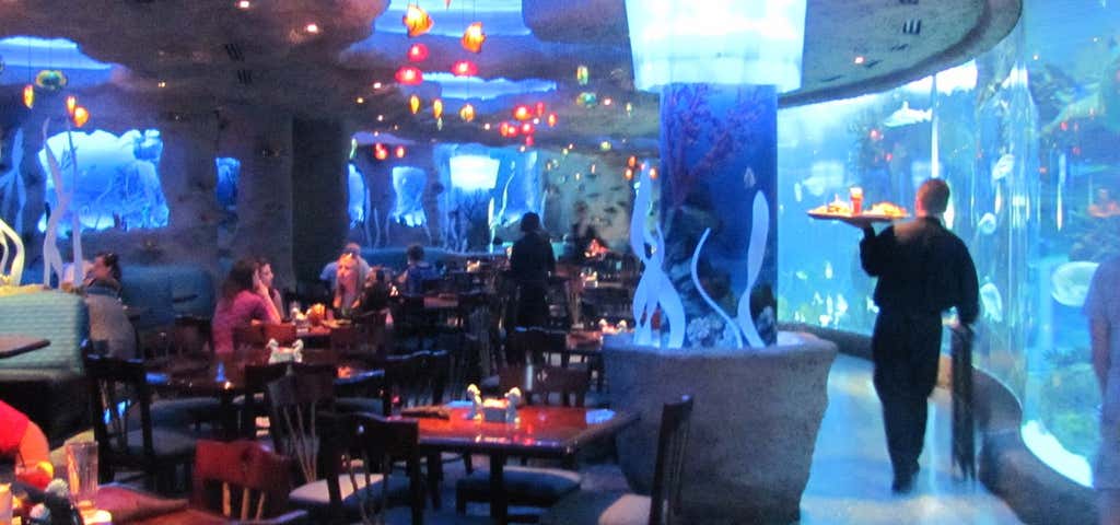 Aquarium Restaurant, Nashville - Place Image Image 33fb1D55 4702 419D A89a Dc8cc3b84e08