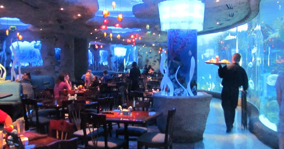 Aquarium Restaurant, Nashville - Place Image Image 33fb1D55 4702 419D A89a Dc8cc3b84e08