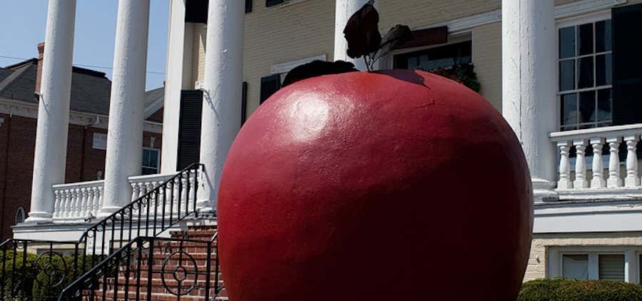 Photo of Worlds Largest Apple