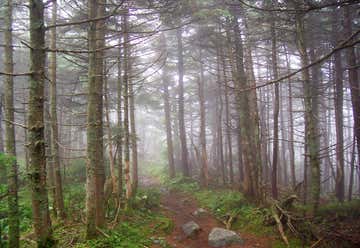 Photo of The Long Trail