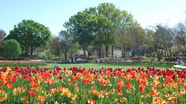 are dogs allowed in the dallas arboretum