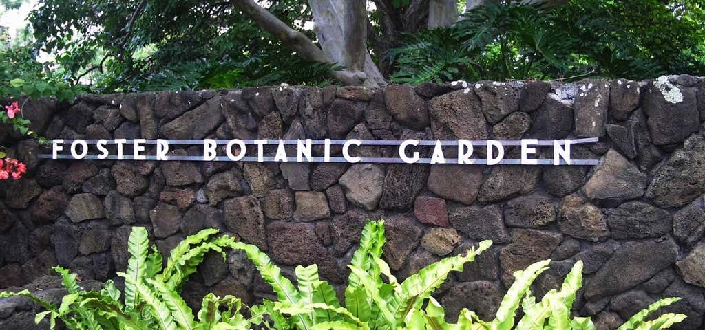 Photo of Foster Botanical Gardens