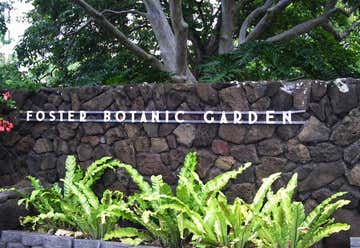 Photo of Foster Botanical Garden