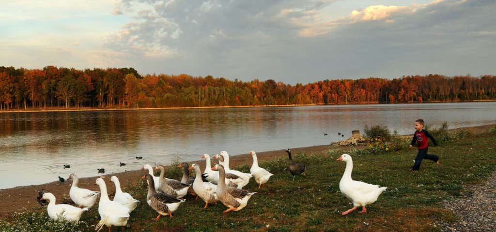 Photo of Freeman Lake Park