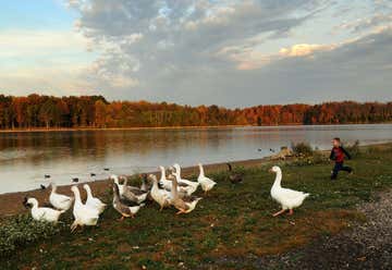 Photo of Freeman Lake Park