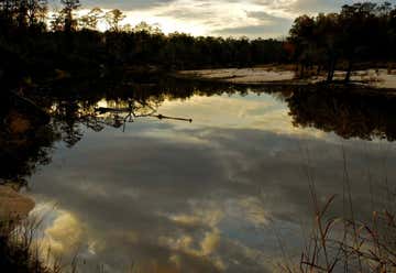 Photo of Village Creek State Park