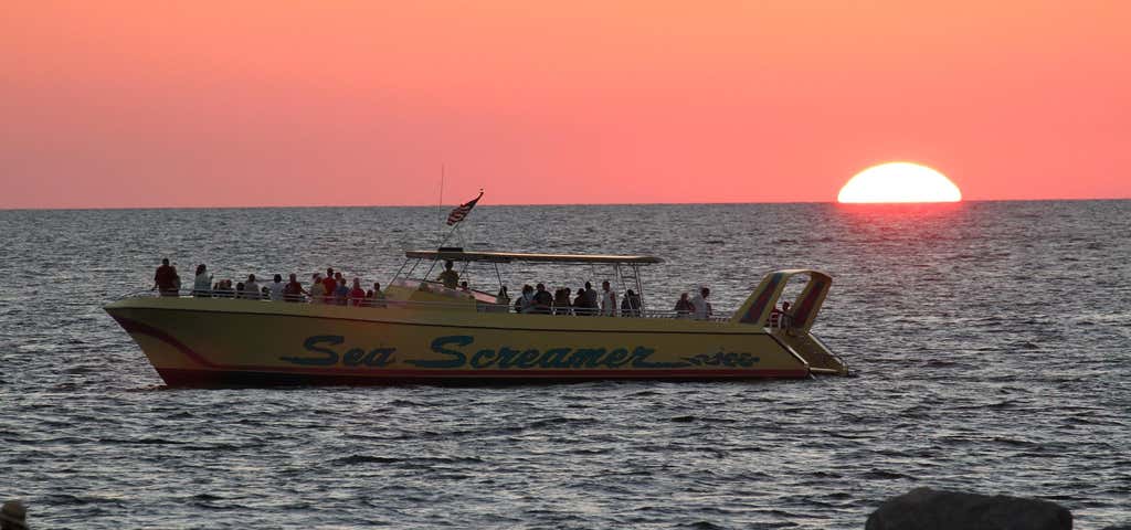 Photo of Sea Screamer-Pcb, Fl