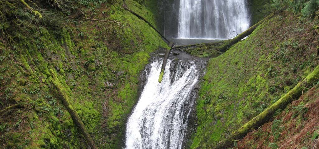 Photo of Pup Creek Falls
