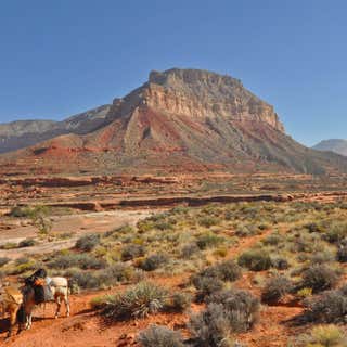 Kaibab National Forest