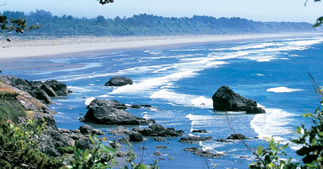 Clam Beach, Eureka Roadtrippers