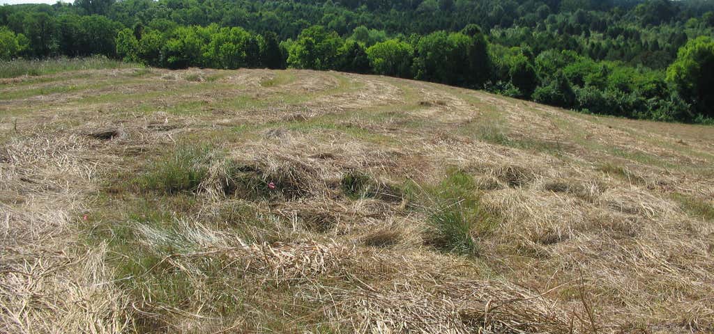 Brandy Station Battlefield Park, Brandy Station Roadtrippers