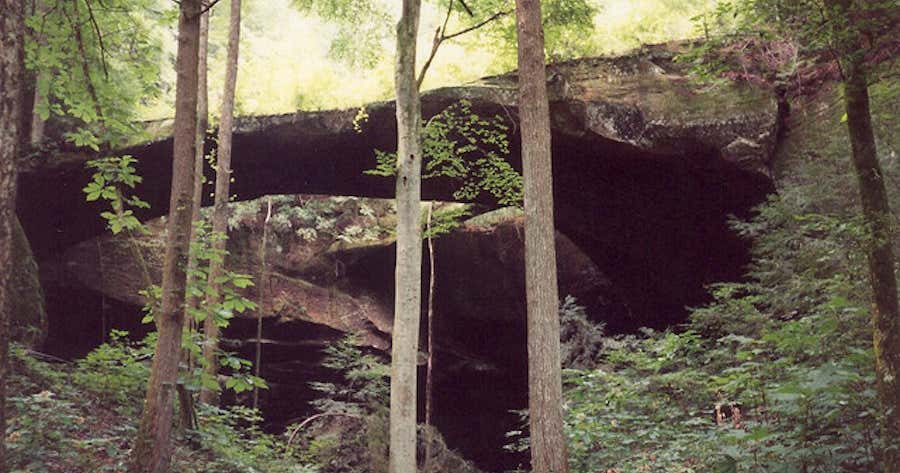gallant alabama gallant alabama