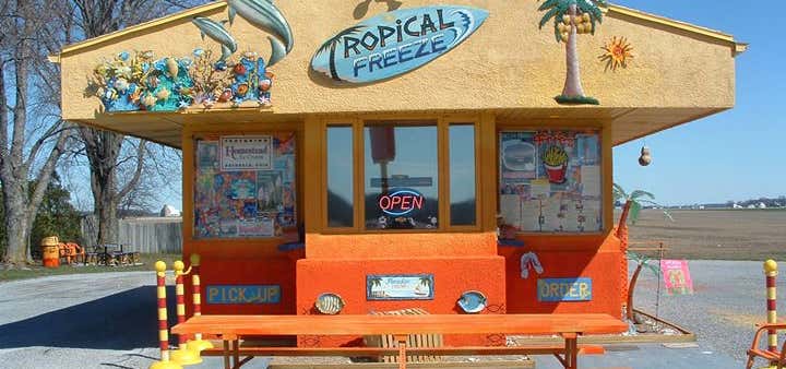 Photo of Tropical Freeze