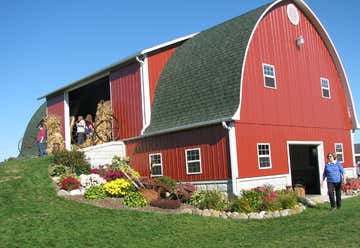 Photo of Busy Barns Adventure Farm