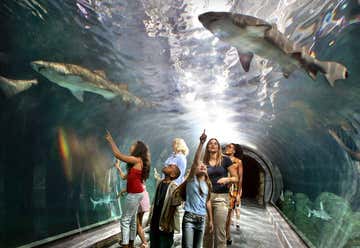 Photo of Adventure Aquarium