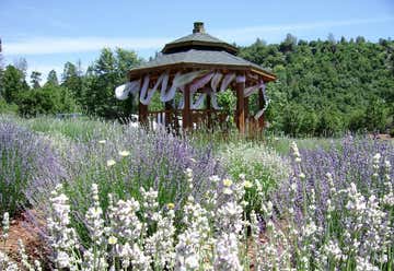 Photo of Tuscan Heights Lavender Gardens