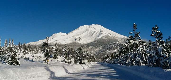 Photo of Shasta Mountain Guides
