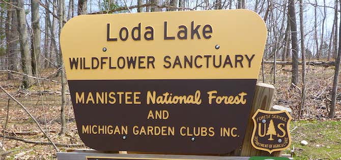 Photo of The Loda Lake Wildflower Sanctuary