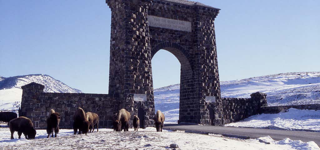 Photo of Roosevelt Arch