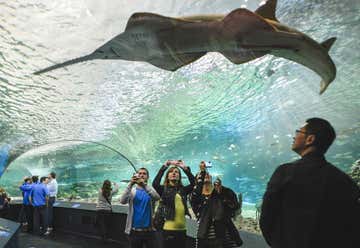 Photo of Ripleys Aquarium of Canada