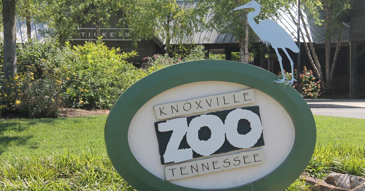 Knoxville Zoo, Knoxville Roadtrippers