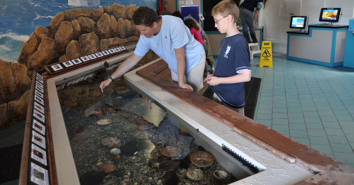 Maine State Aquarium, Boothbay Harbor Roadtrippers