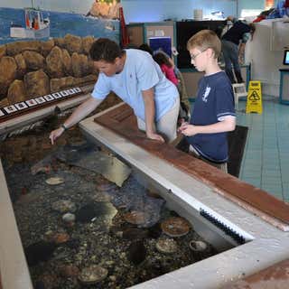 Maine State Aquarium