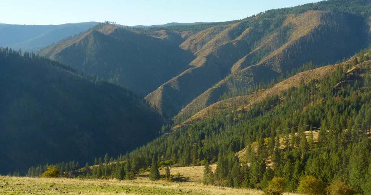 Nez PerceClearwater National Forest, Idaho Roadtrippers