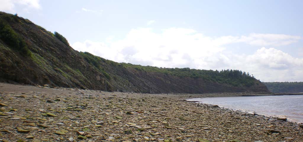 Photo of Joggins Fossil Cliffs