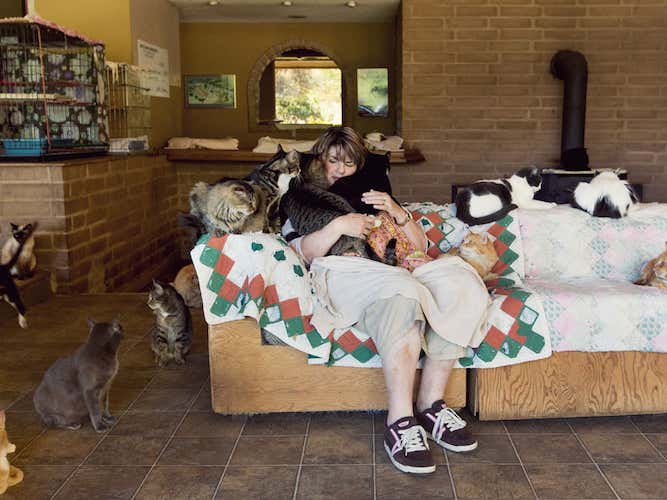 The Cat House on the Kings
