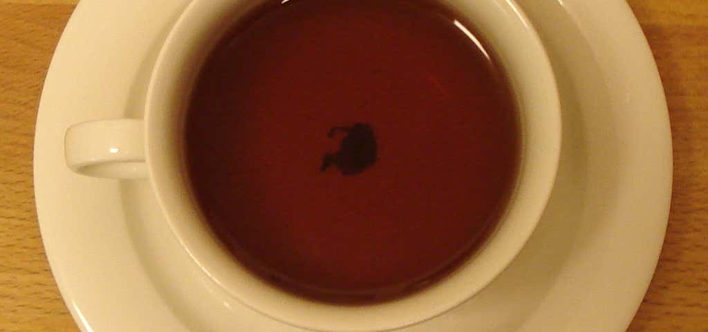 Photo of Tea Thyme At Sadies