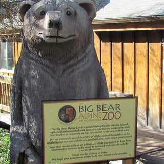 Big Bear Alpine Zoo