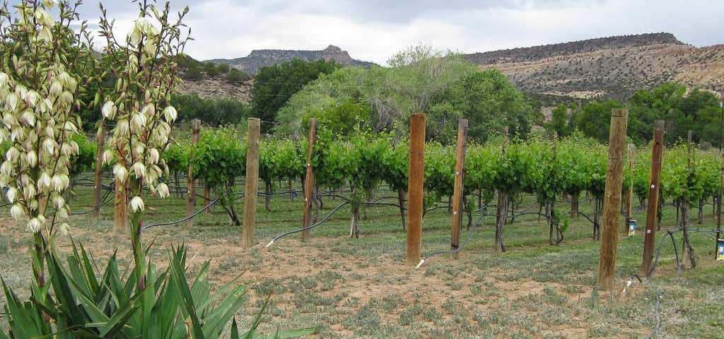 Photo of Guadalupe Vineyards