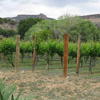 Guadalupe Vineyards