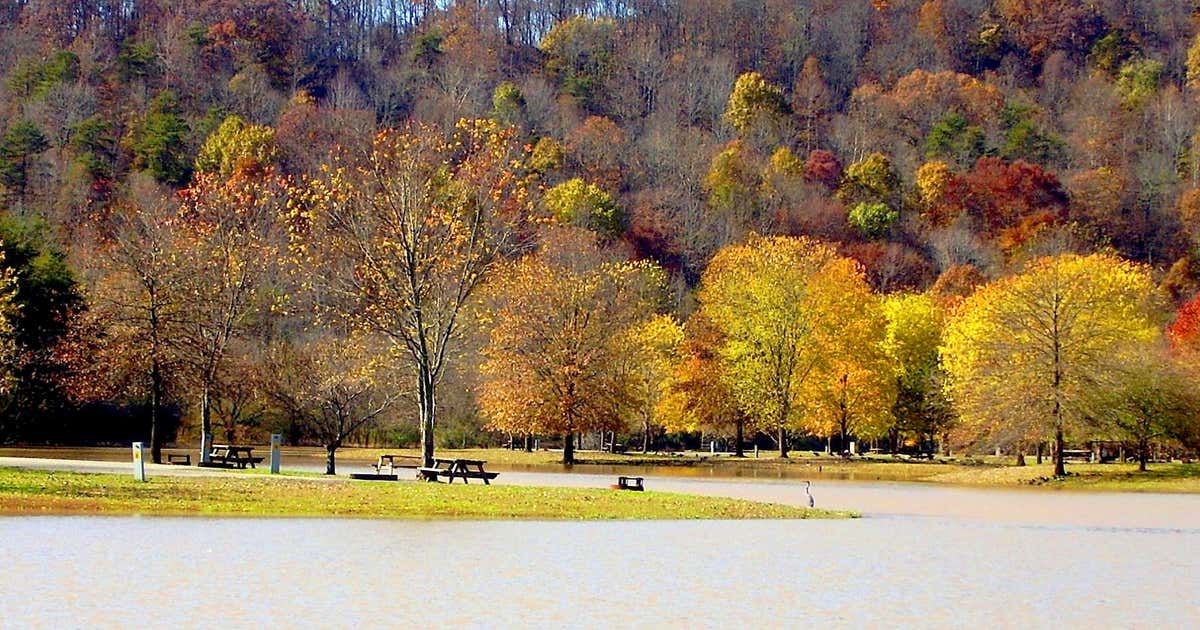 Beech Lake Family Campground, Lexington Roadtrippers