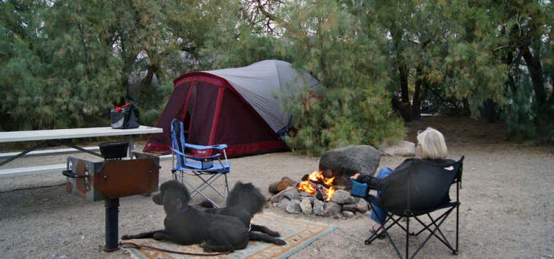 Photo of Furnace Creek Campground