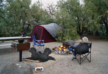 Photo of Furnace Creek Campground