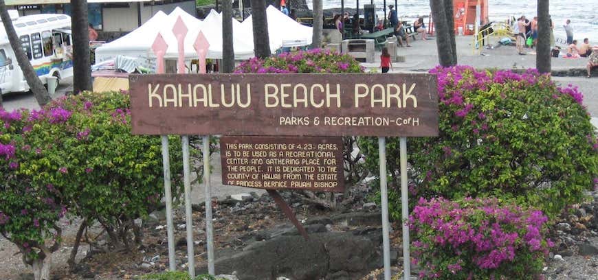 Photo of Kahaluu Beach Park