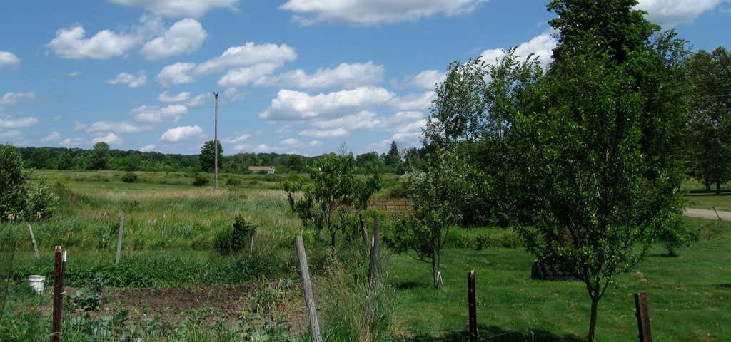 Photo of Little Bit of Haven Farm