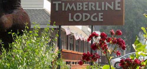 Photo of Arnold Timberline Lodge