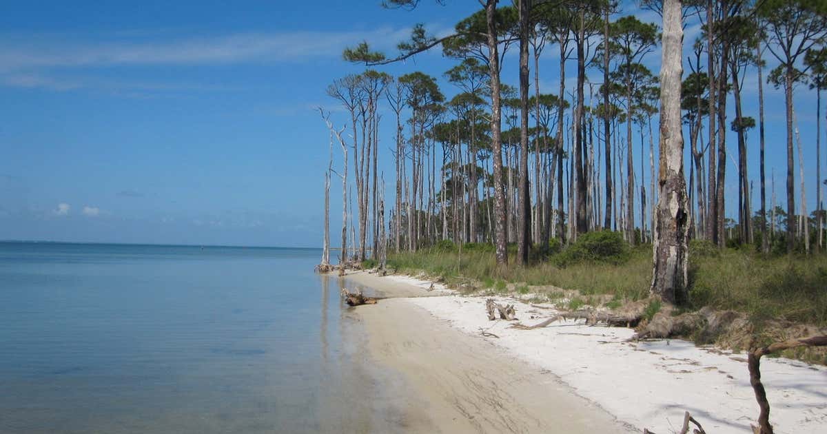 St George Island State Park Eastpoint - Place Image Image 35fa0a3b Da51 45f3 80e3 5e86f85e6035 