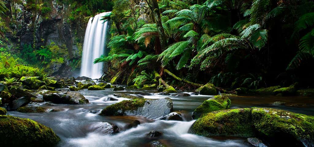 Photo of Great Otway National Park