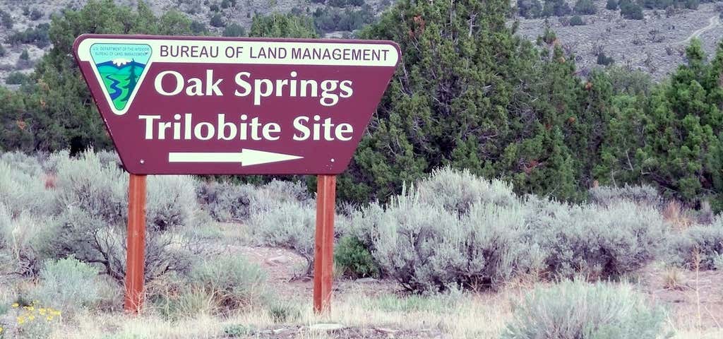 Photo of Oak Springs Trilobite Area
