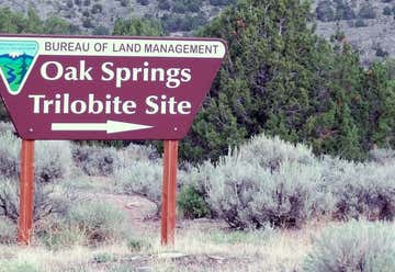 Photo of Oak Springs Trilobite Area