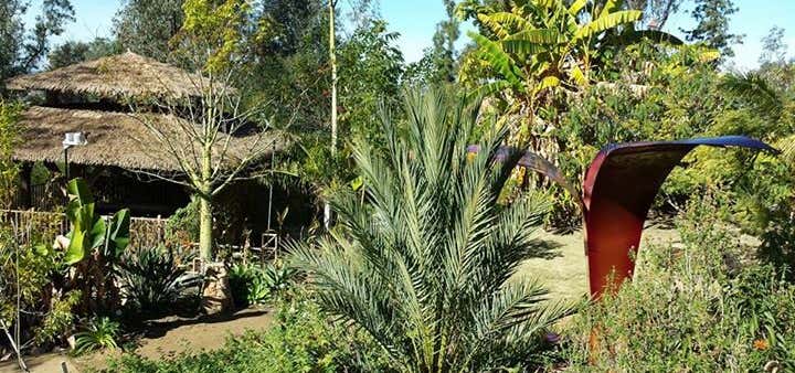 Photo of Alta Vista Botanical Gardens