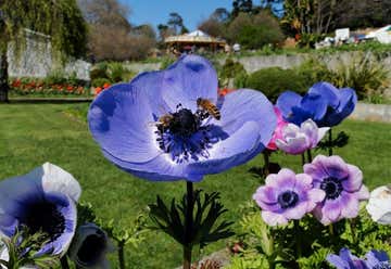 Photo of Royal Tasmanian Botanical Gardens