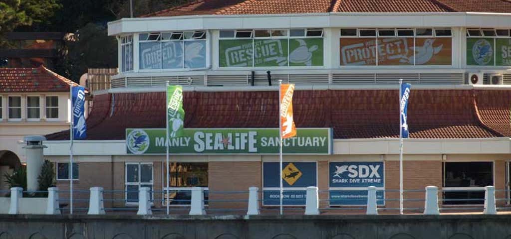 Photo of Manly SEA LIFE Sanctuary