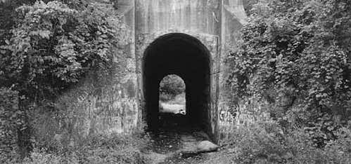 Photo of Screaming Tunnel
