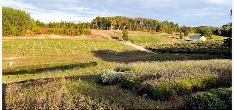 Photo of Good Neighbor Organic Vineyard & Winery